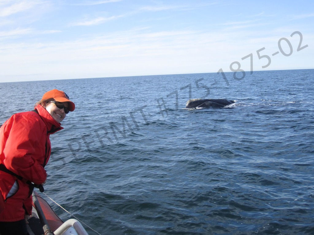 lab member posing while whale breaches in backgorund