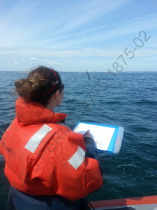 lab member looking at water taking notes