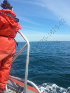 lab member on boat whale in background