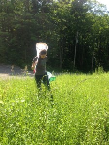 lab member search through field