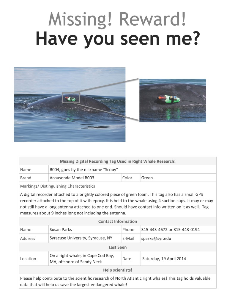 poster with contact information and lost tag description