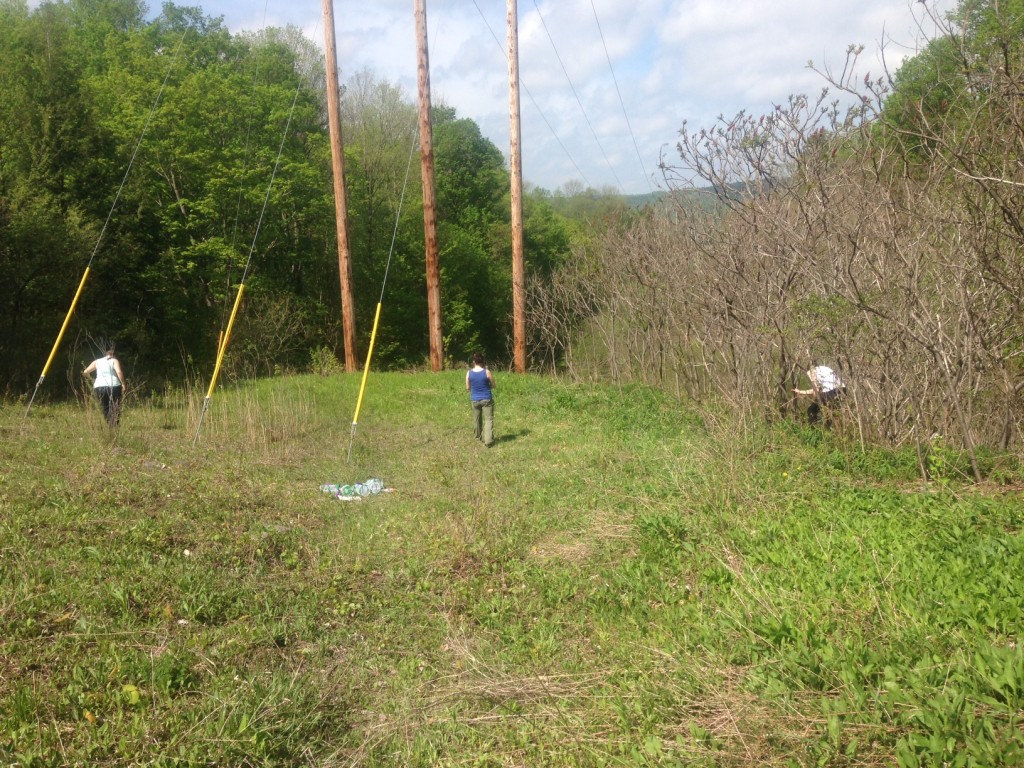 team members in field