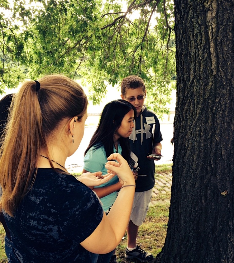 students gathered around tree