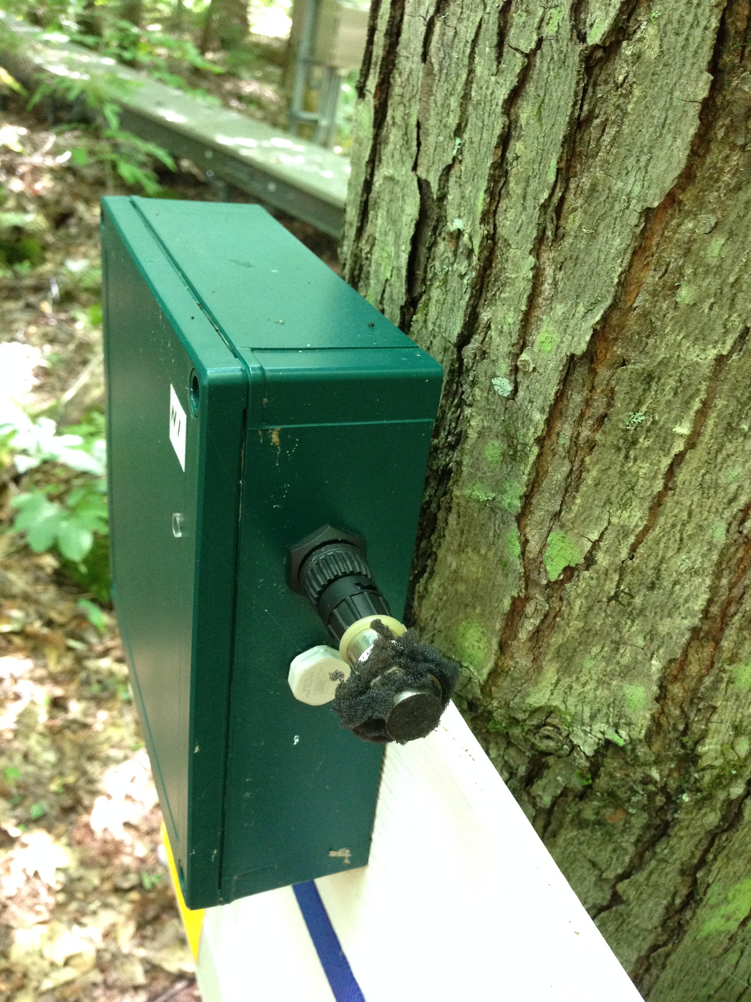 microphone attached to tree