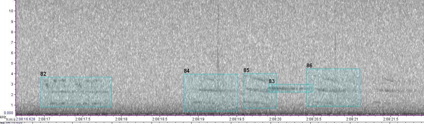 visual sound waves of unknown bird