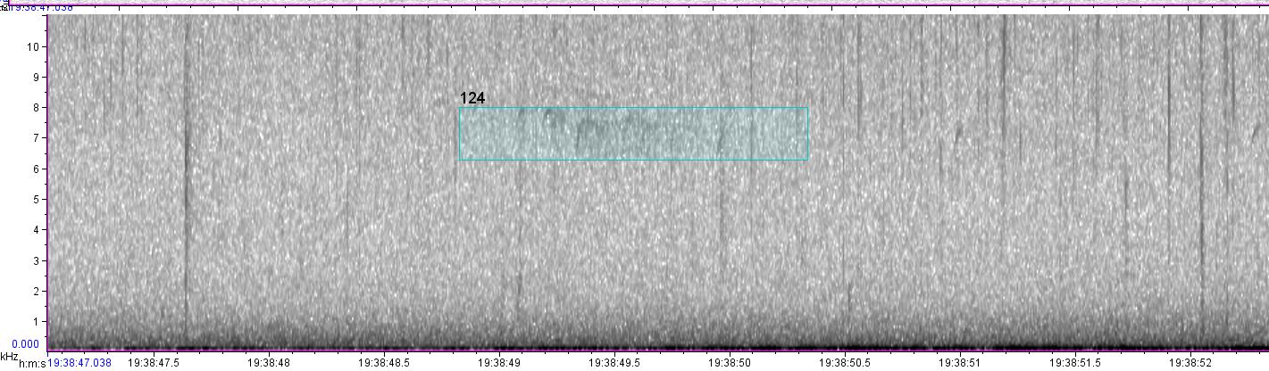 visual sound waves of unknown bird