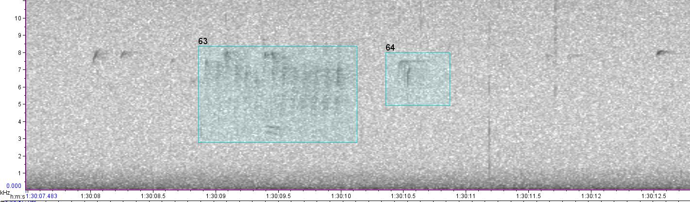 visual sound waves of unknown bird