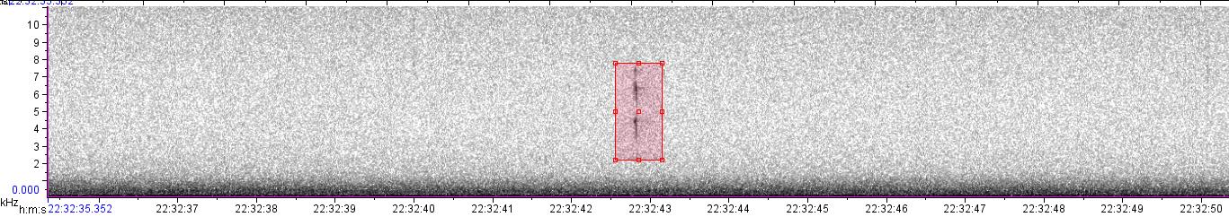 visual sound waves of unknown bird