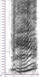 spectrogram at 1024 samples per slice