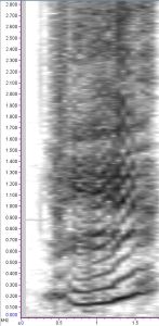 spectrogram at 2048 samples per slice