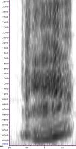 spectrogram at 256 samples per slice
