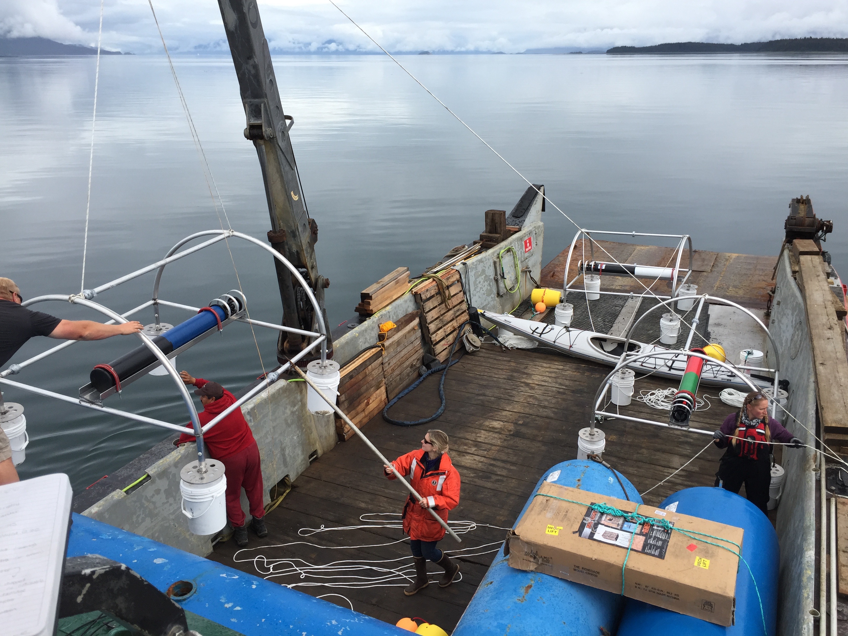 lab members moving hydrophones to water