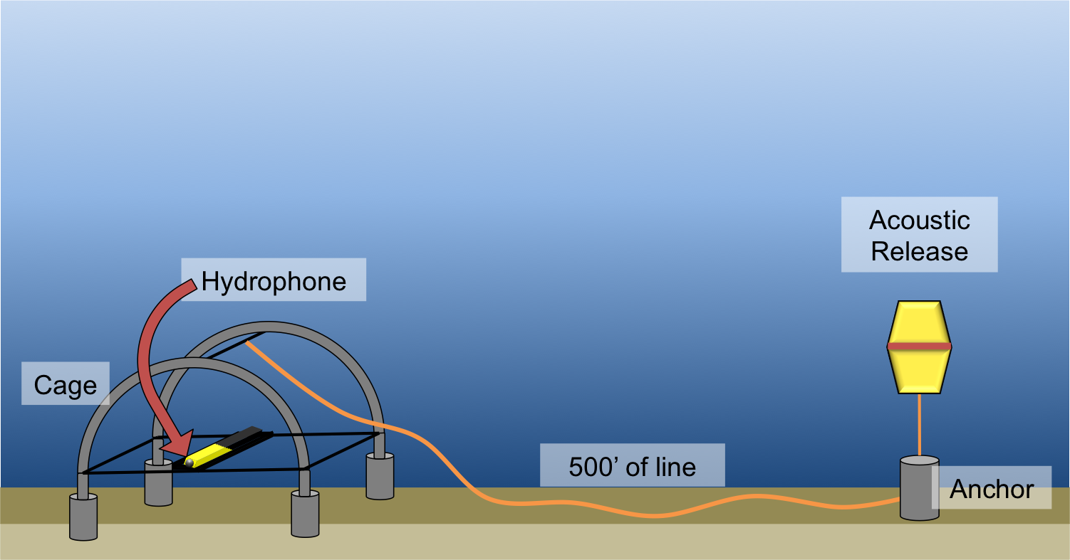 illustration of hydrophone underwater